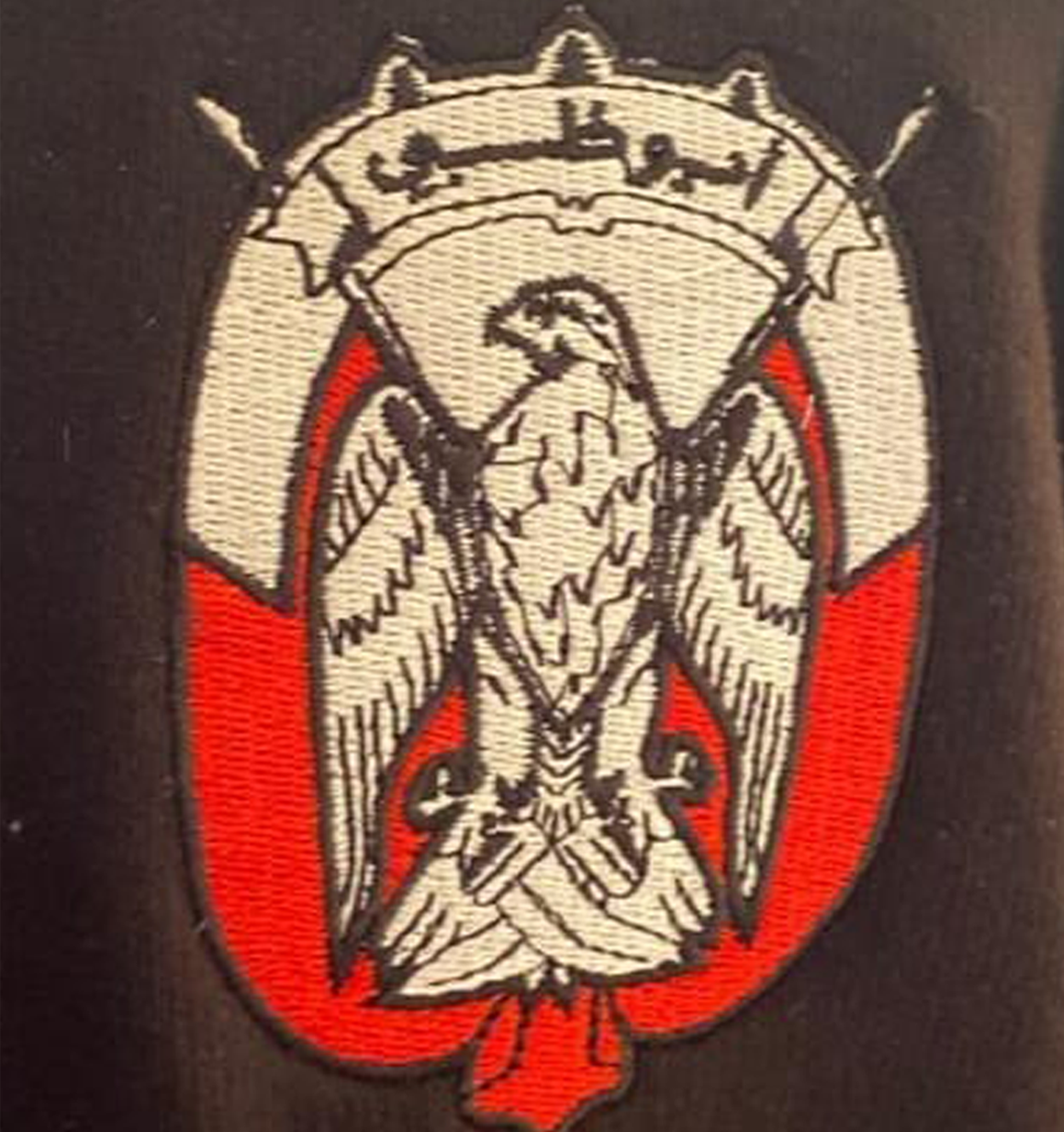 Abu Dhabi Logo